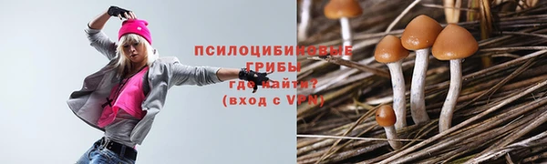 мет Рославль