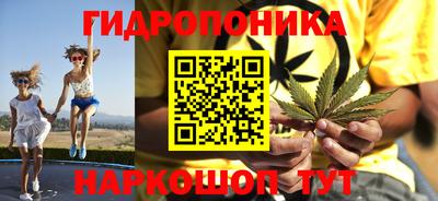 мяу мяу мука Нальчик
