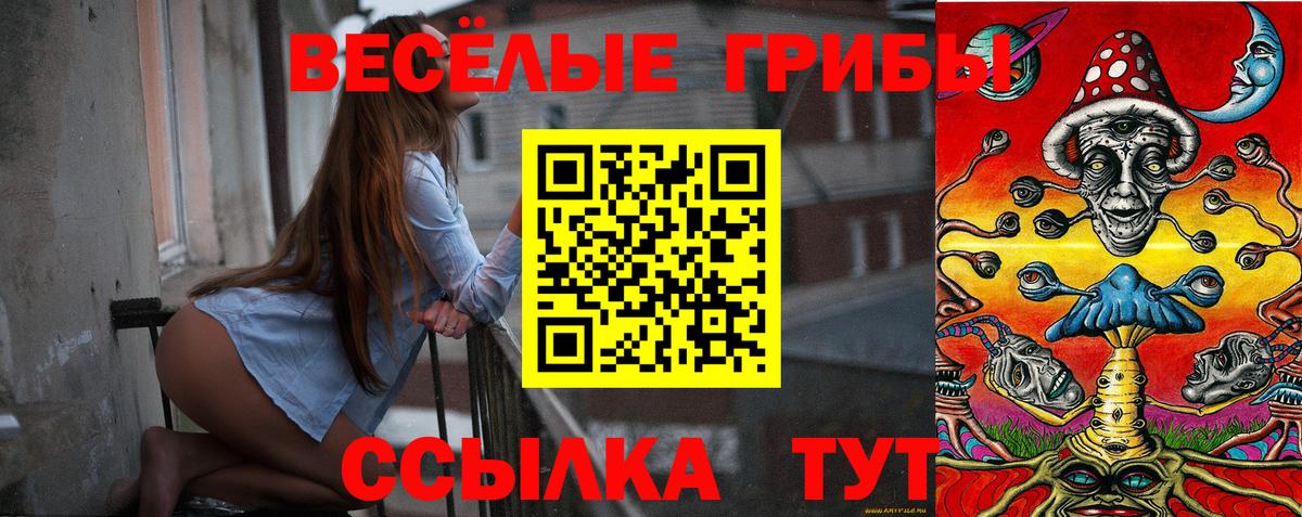 Советск  Псилоцибиновые грибы ЛСД  Вход с VPN 