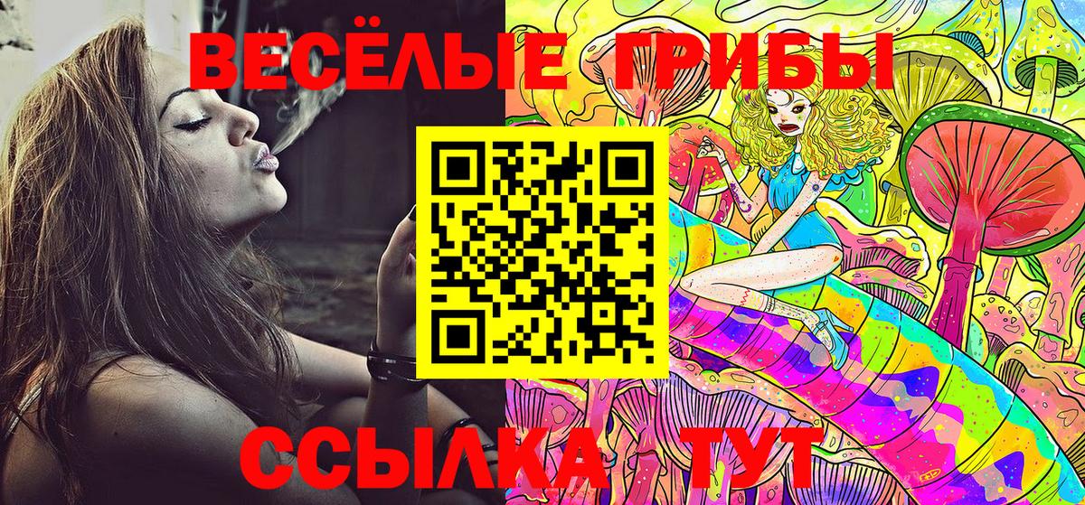 Псилоцибиновые грибы прущие грибы Советск