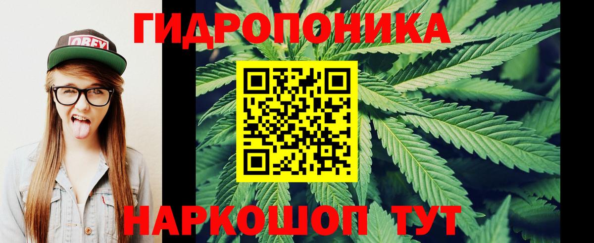 Советск  Бошки Шишки конопля  МАРИХУАНА марихуана  Каннабис планчик  Вход с VPN 